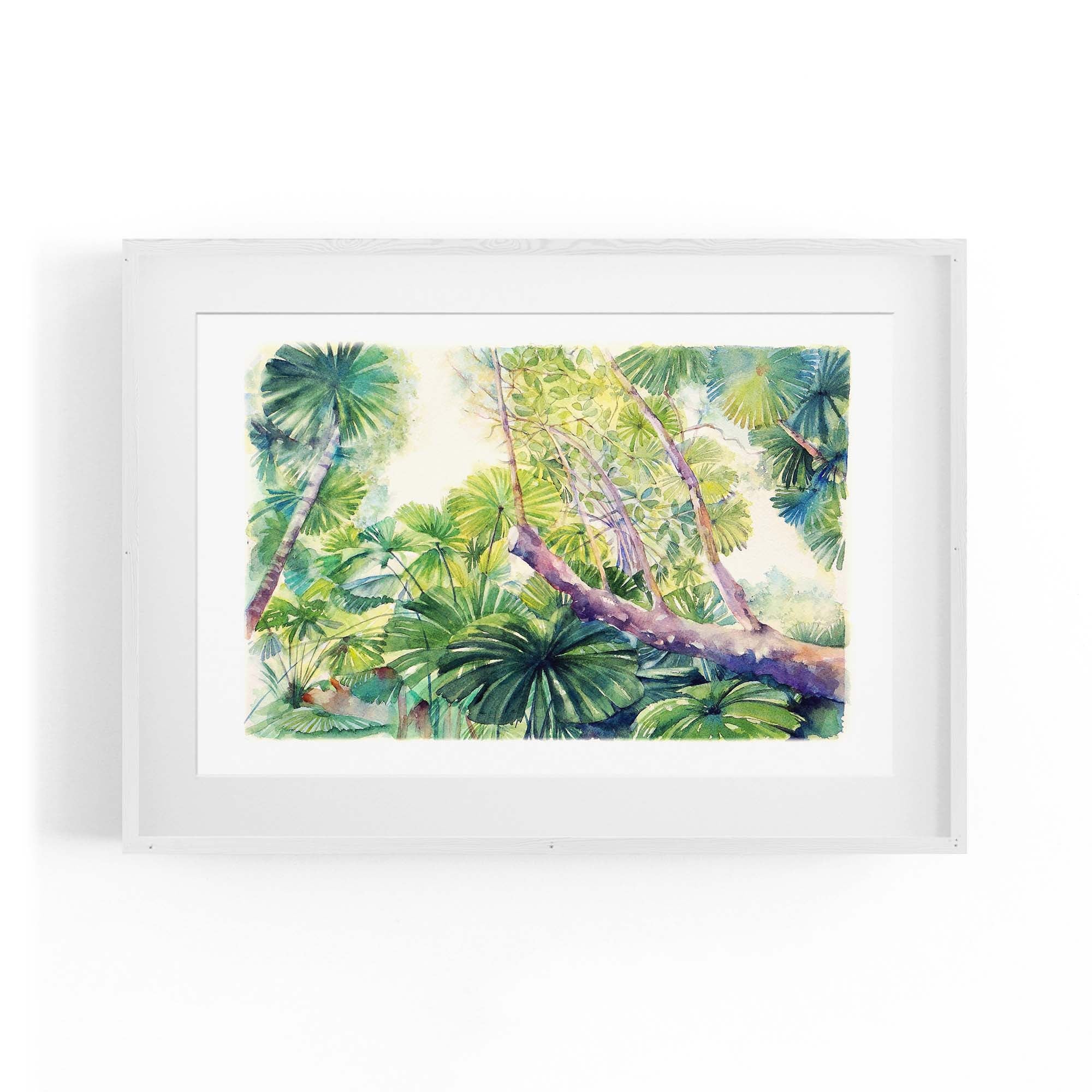 Daintree Rainforest Queensland Painting Wall Art