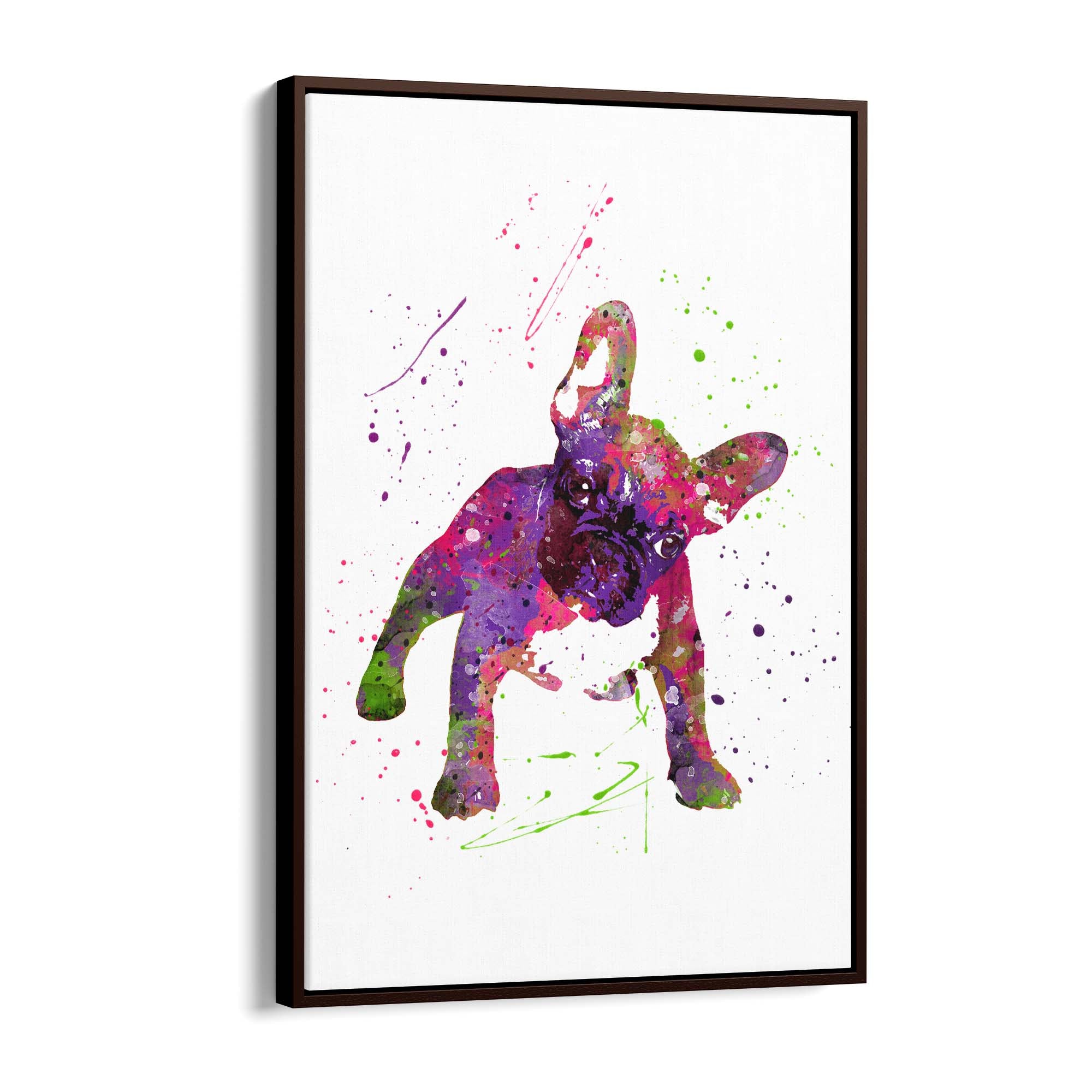 Watercolour Boston Terrier Dog Wall Art