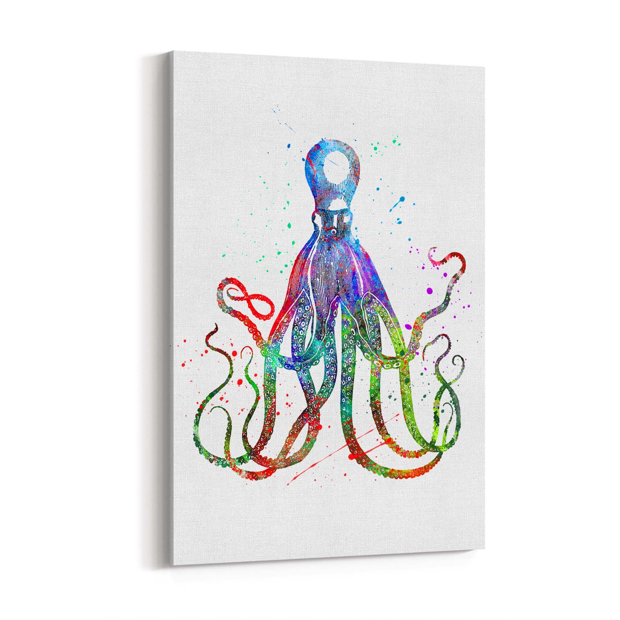 Cite Giant Squid Painting Sealife Nursery Wall Art