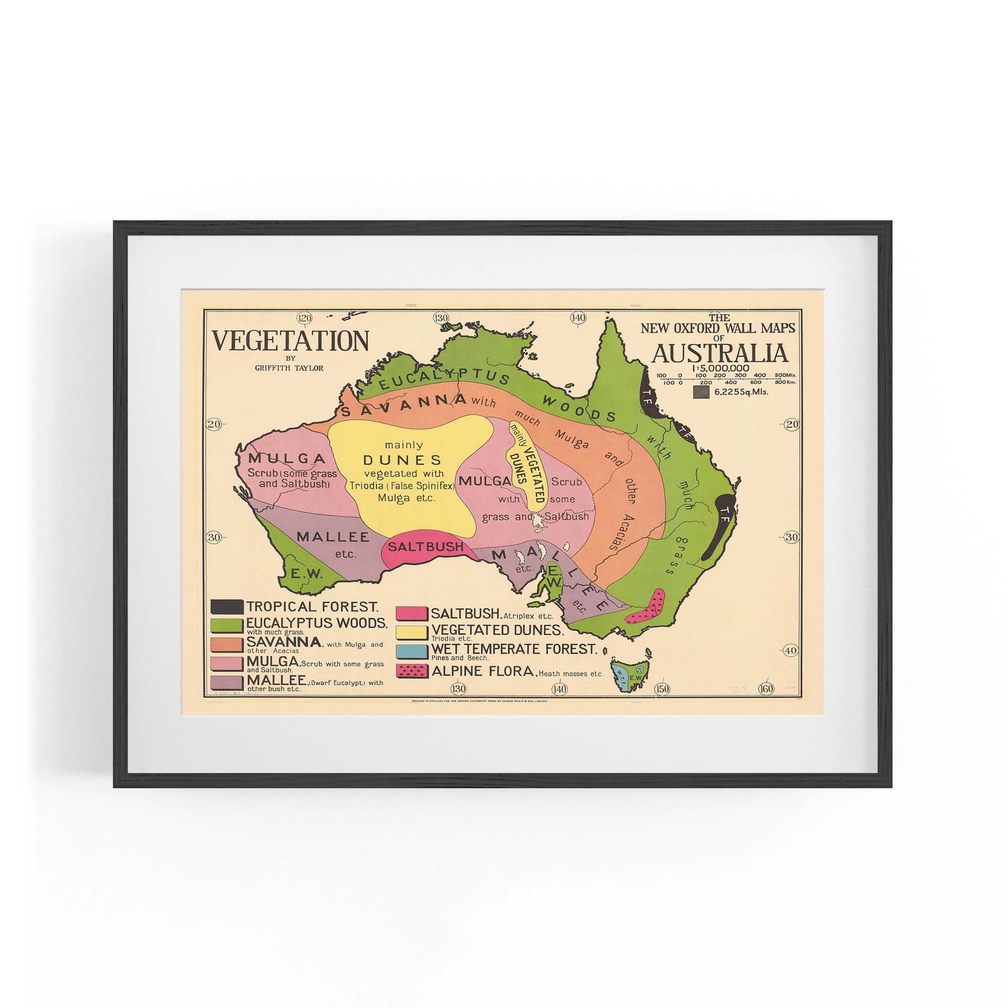 Australian Vegetation Vintage Map Wall Art