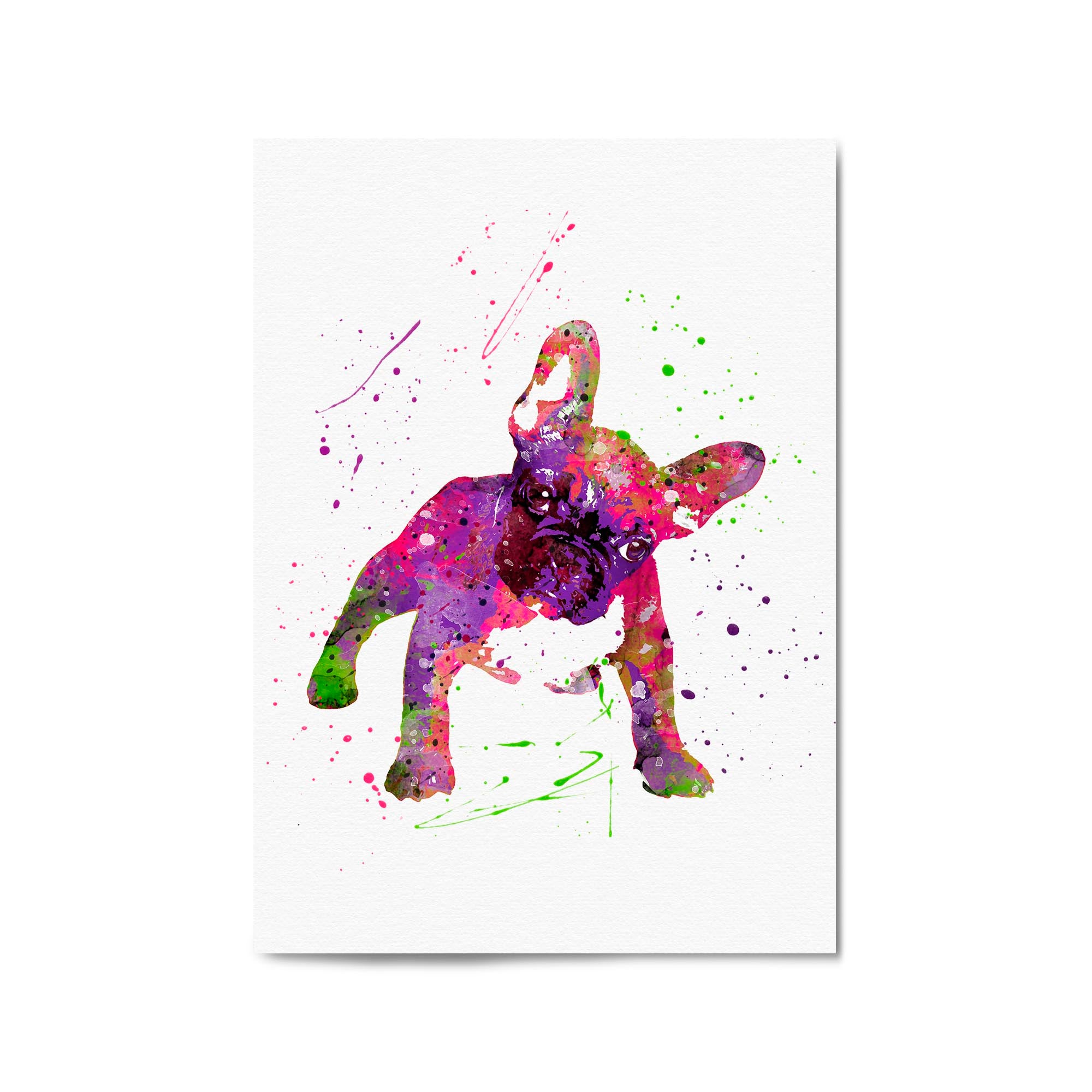 Watercolour Boston Terrier Dog Wall Art