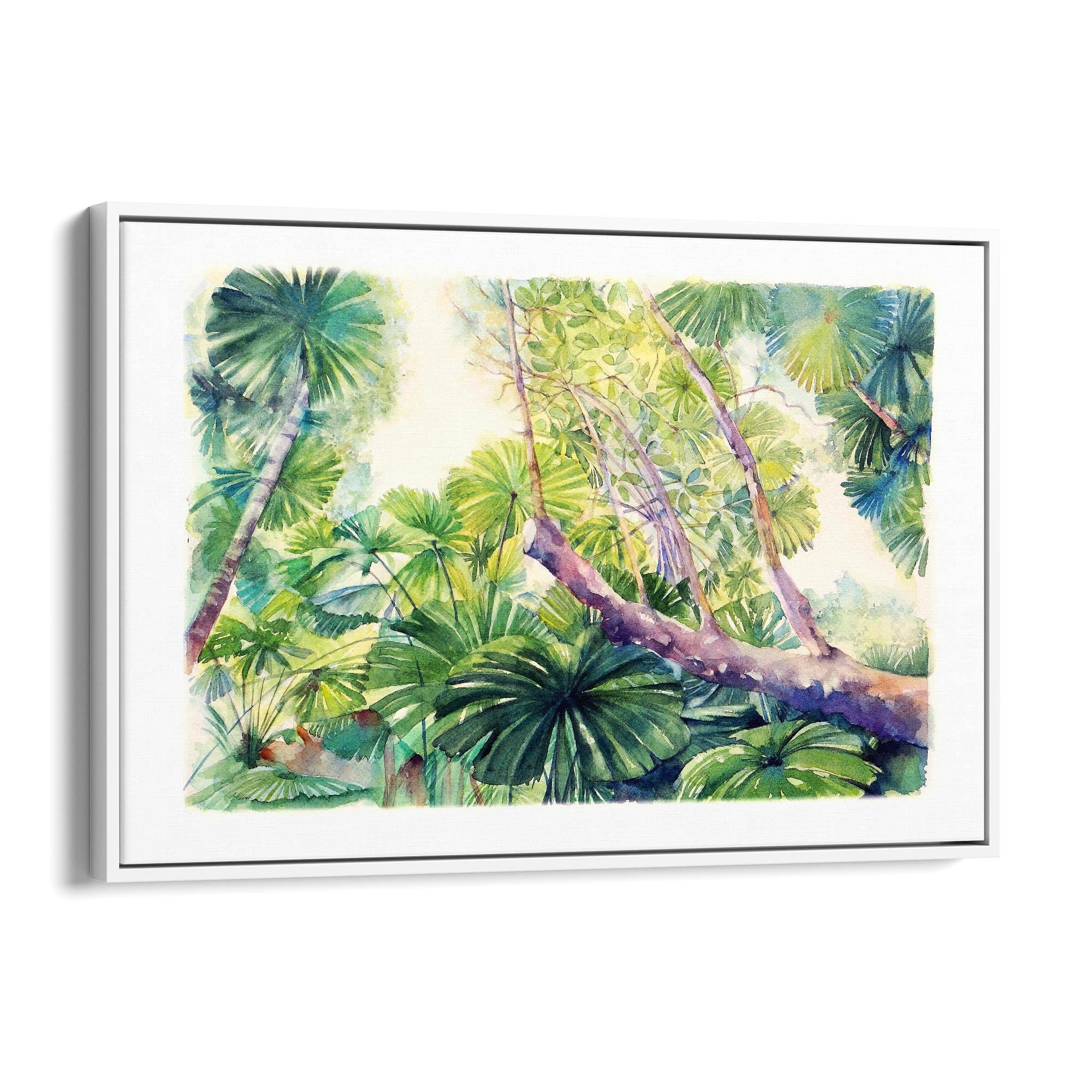 Daintree Rainforest Queensland Painting Wall Art