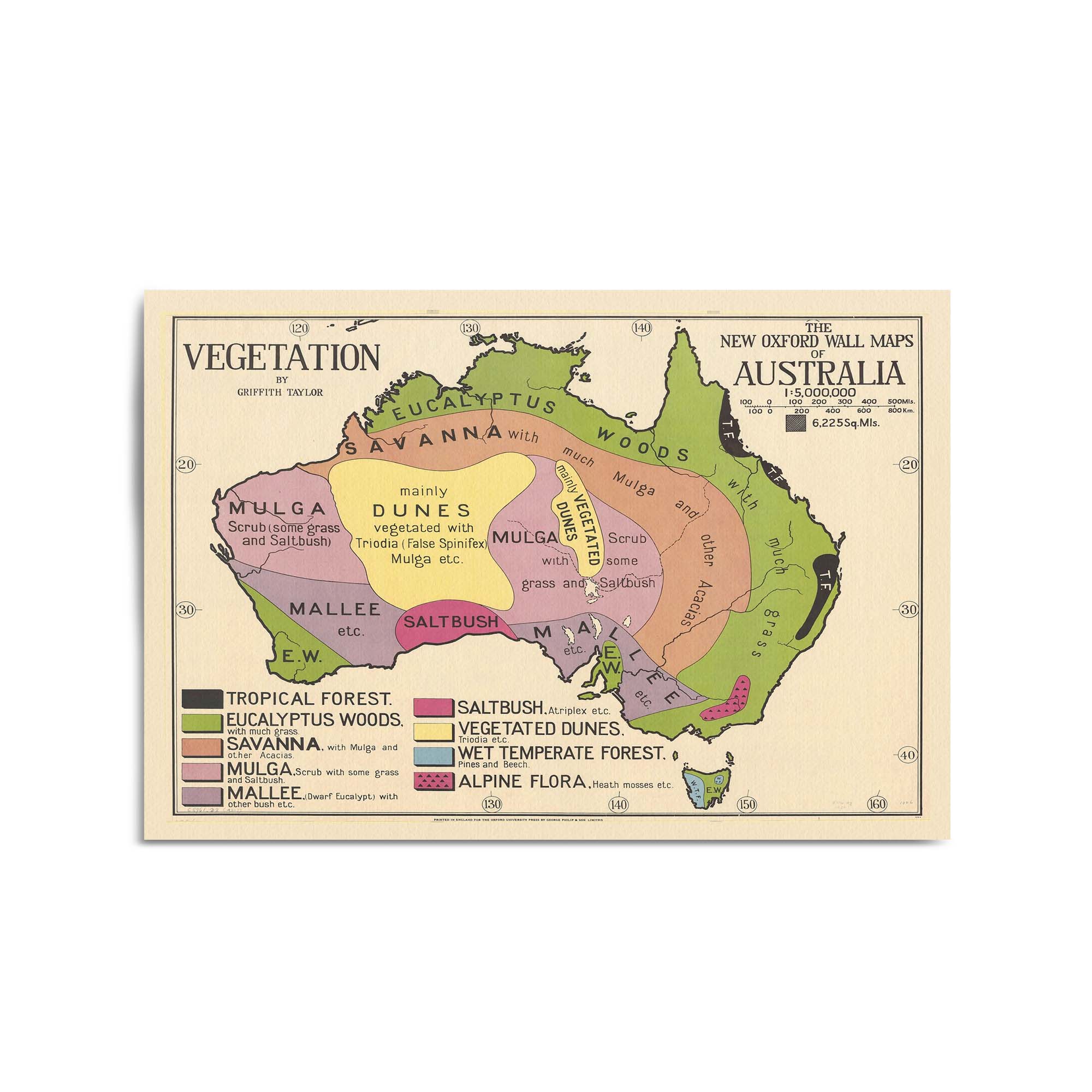 Australian Vegetation Vintage Map Wall Art