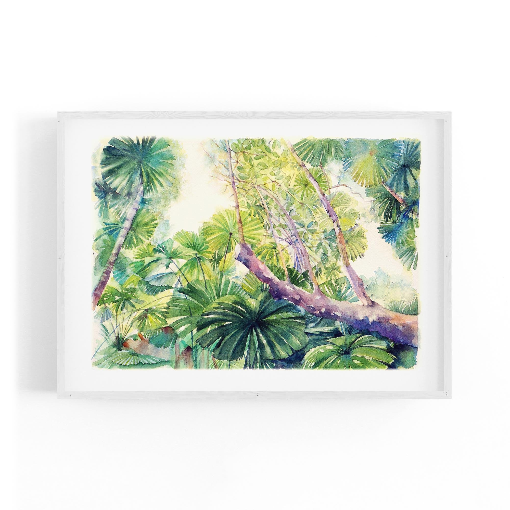 Daintree Rainforest Queensland Painting Wall Art