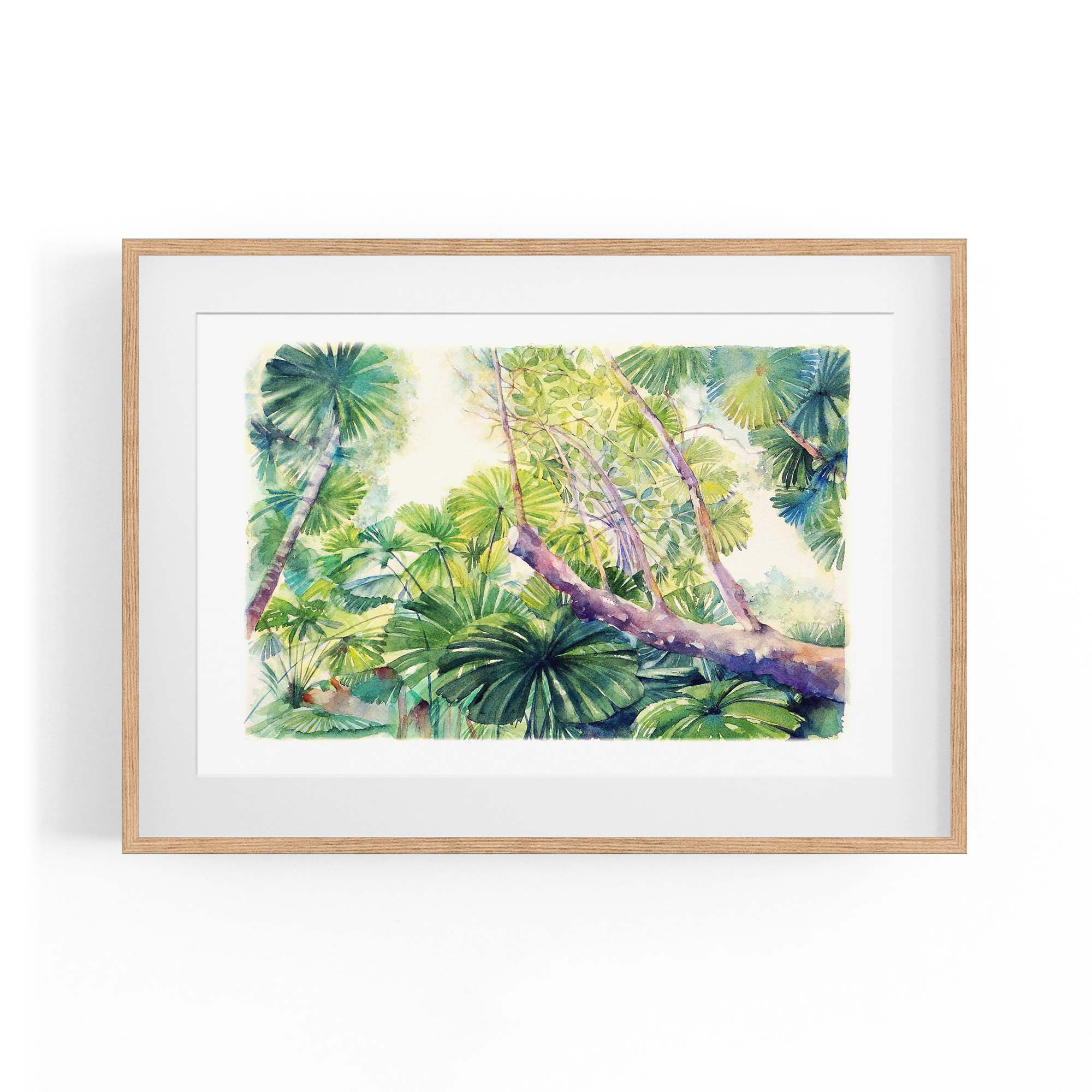 Daintree Rainforest Queensland Painting Wall Art