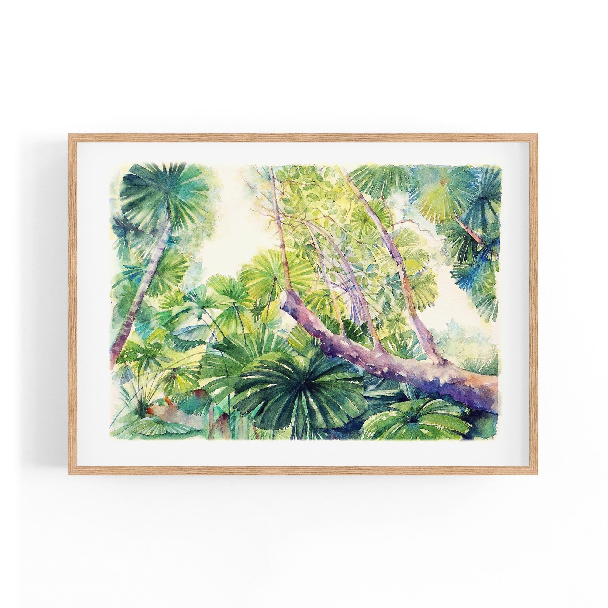 Daintree Rainforest Queensland Painting Wall Art