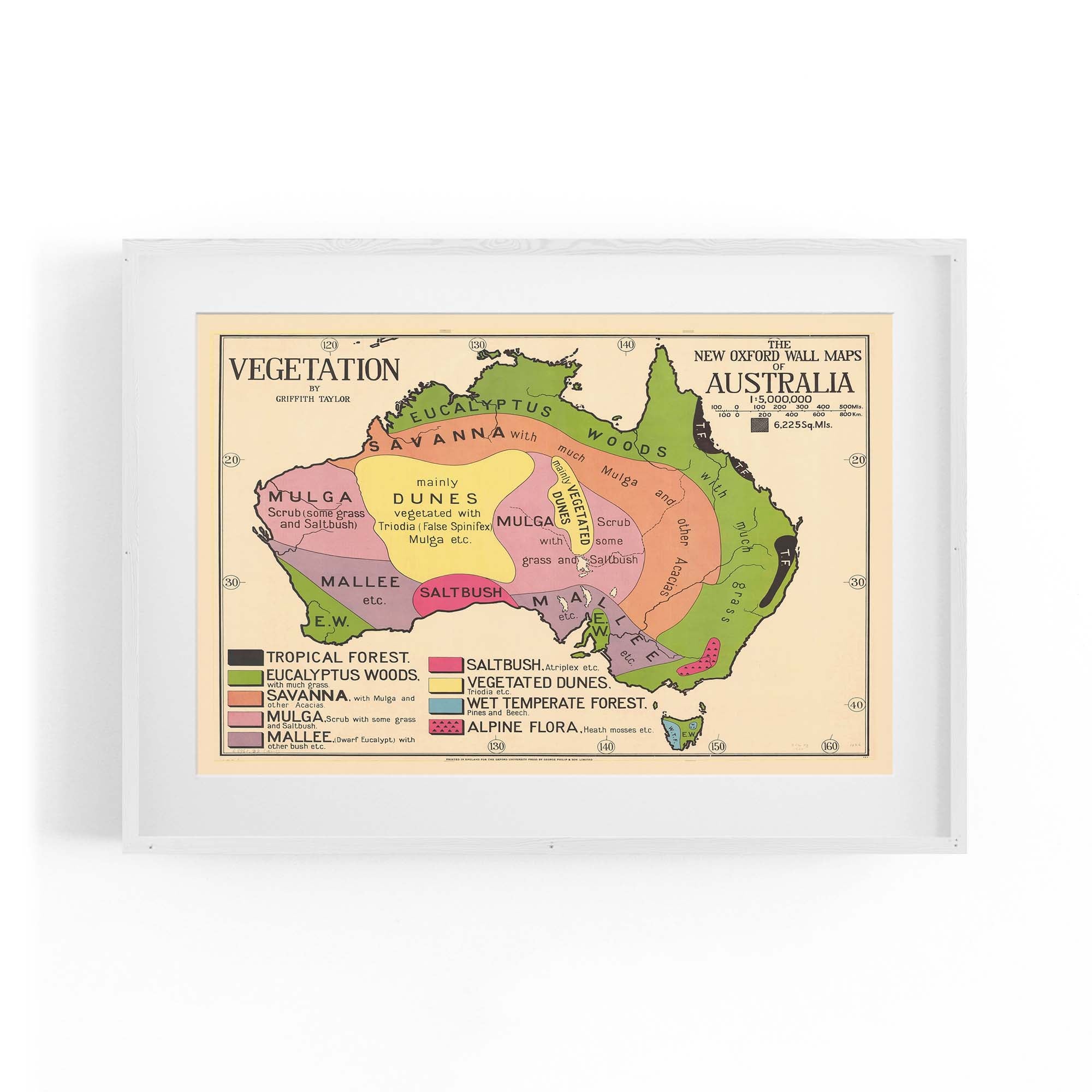 Australian Vegetation Vintage Map Wall Art