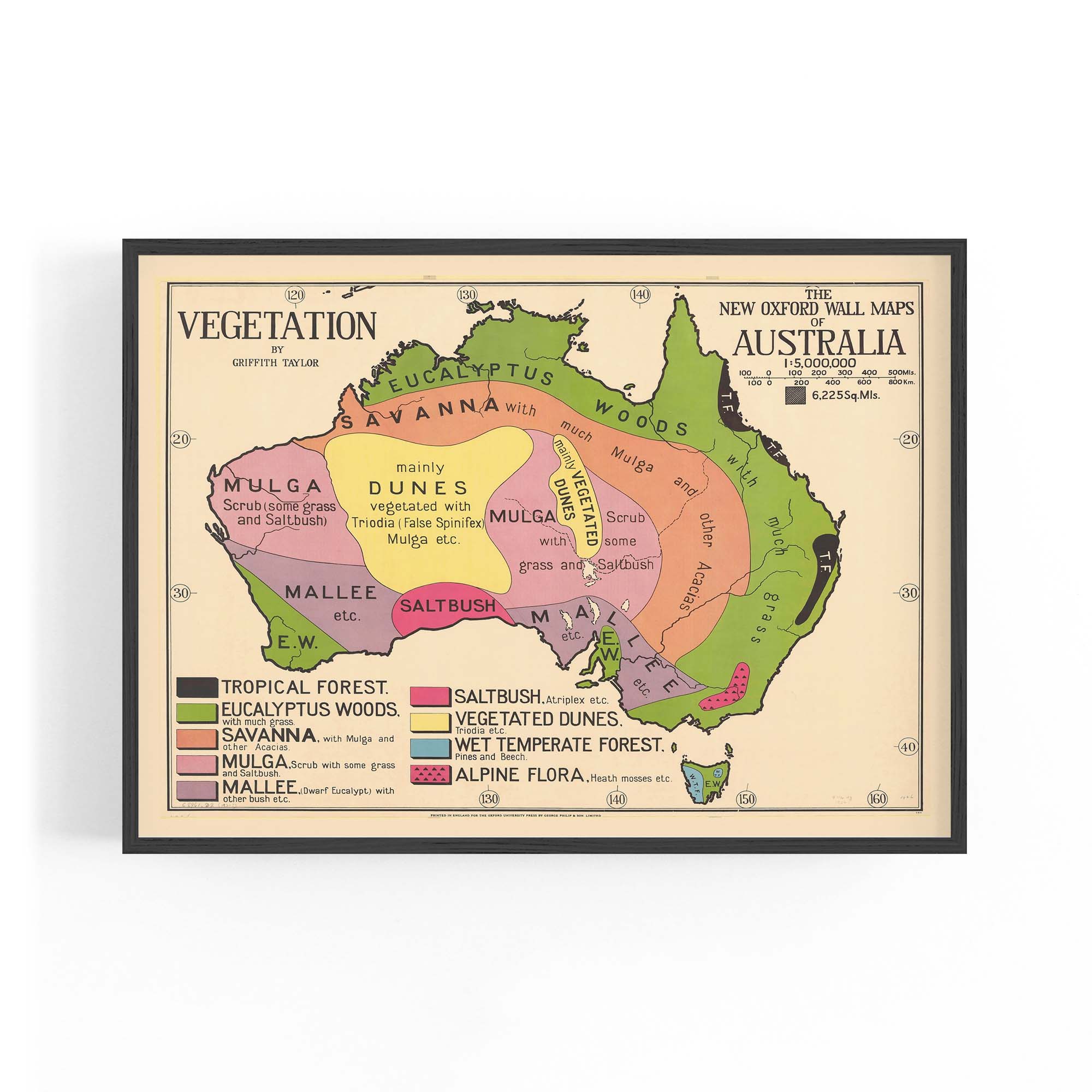 Australian Vegetation Vintage Map Wall Art