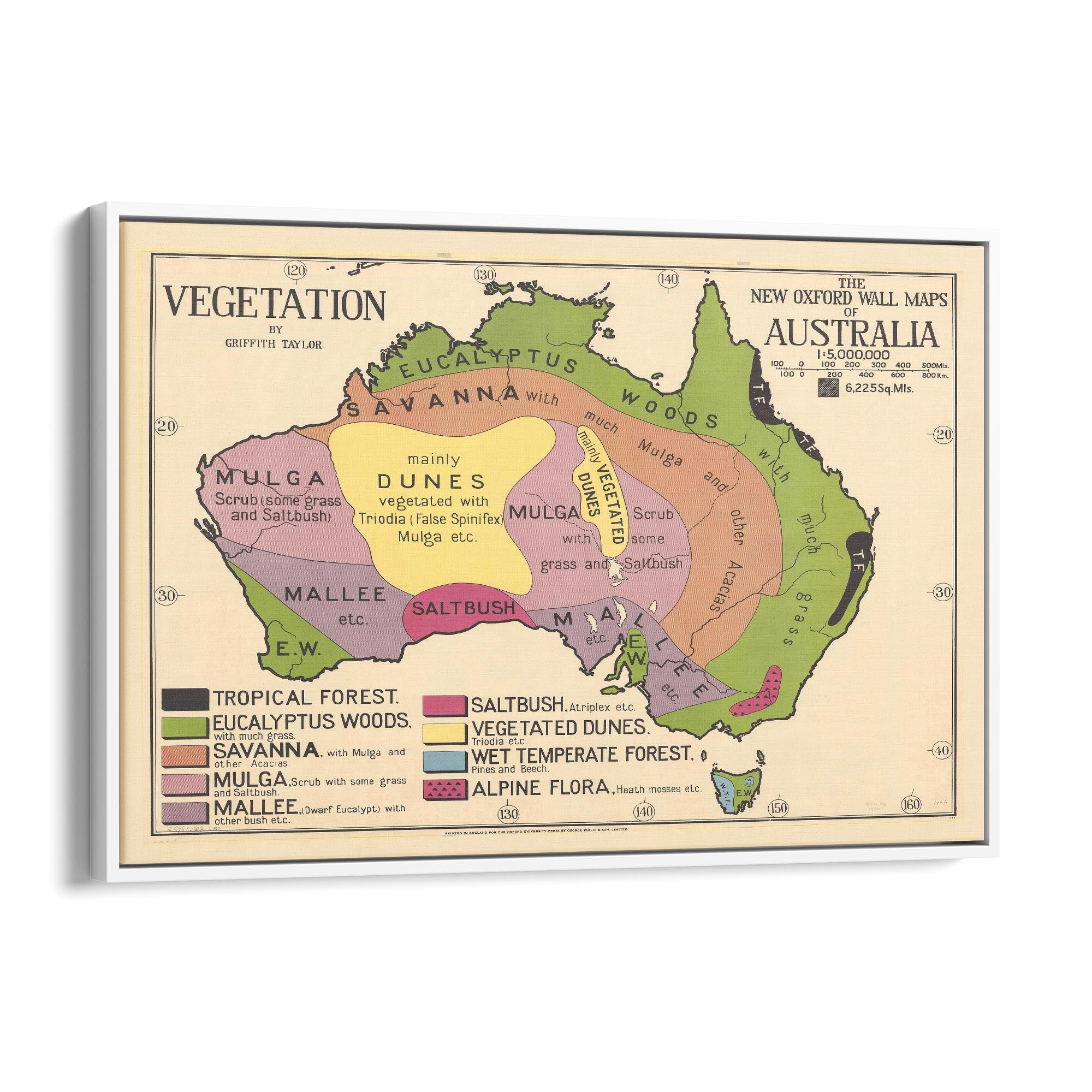 Australian Vegetation Vintage Map Wall Art