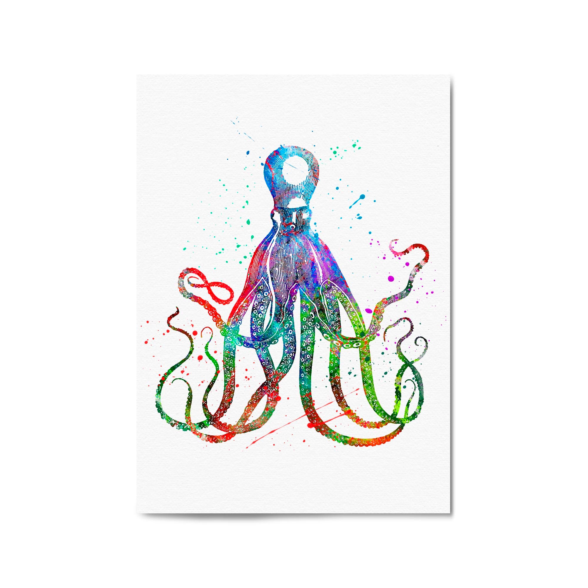 Cite Giant Squid Painting Sealife Nursery Wall Art