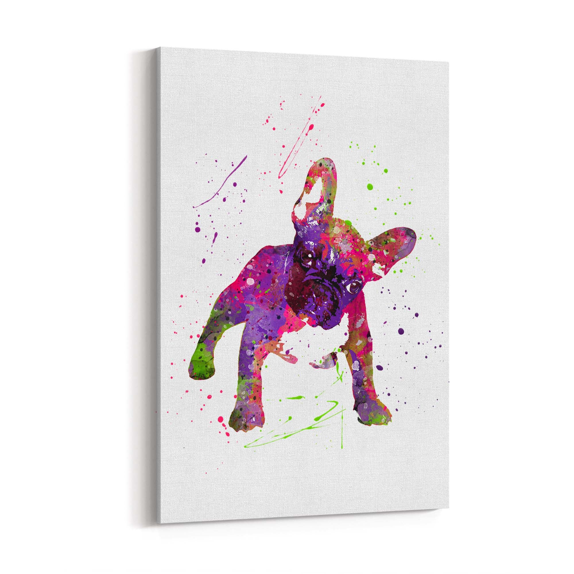 Watercolour Boston Terrier Dog Wall Art