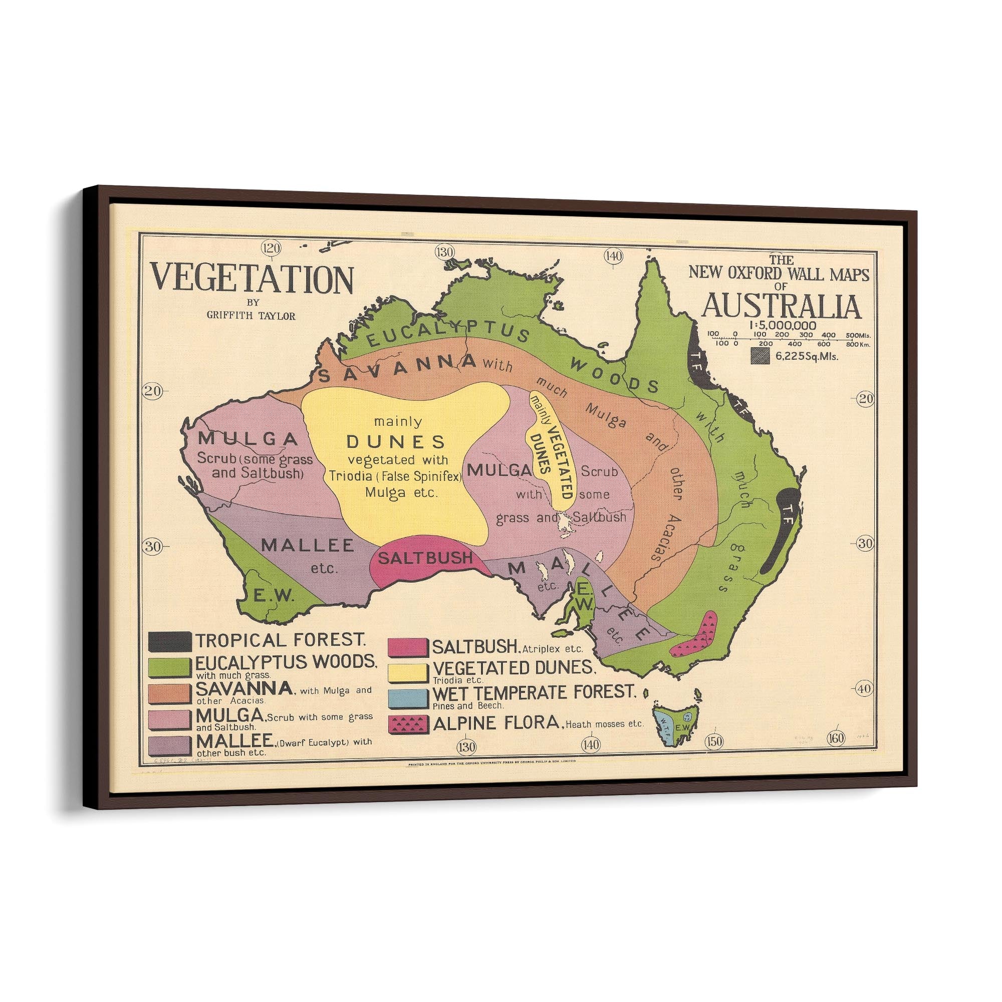 Australian Vegetation Vintage Map Wall Art