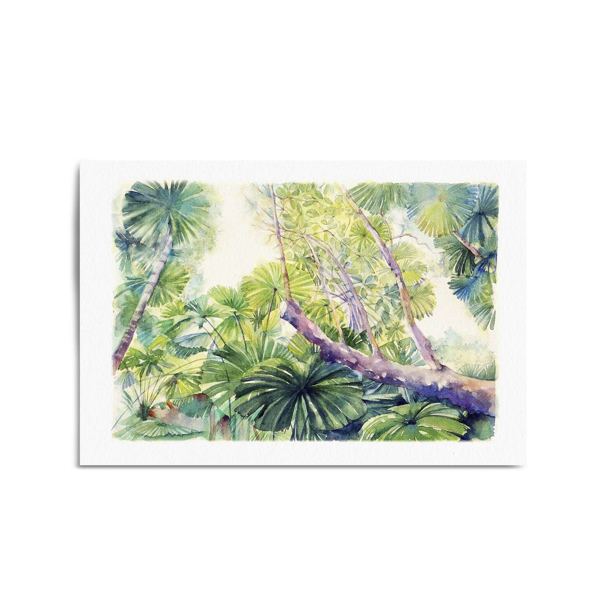 Daintree Rainforest Queensland Painting Wall Art