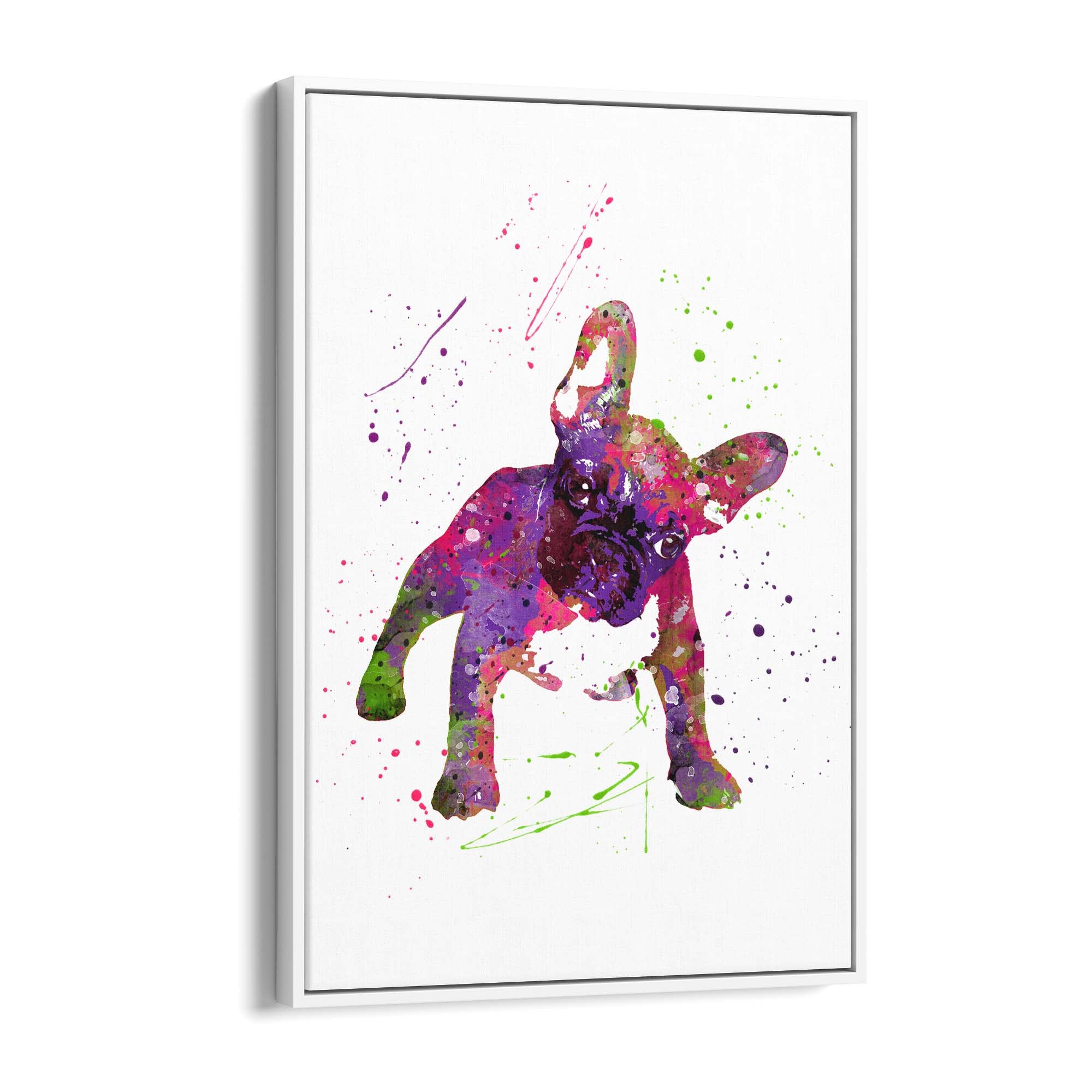 Watercolour Boston Terrier Dog Wall Art