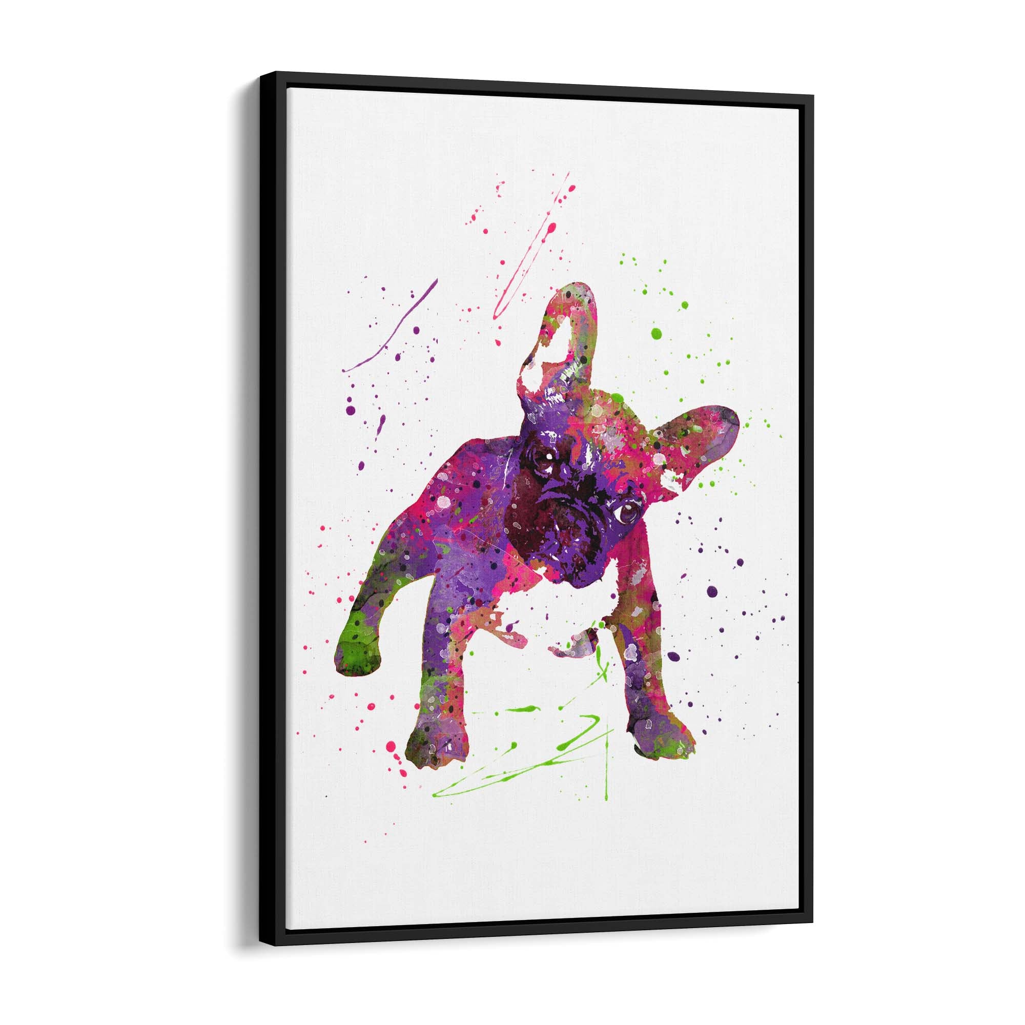 Watercolour Boston Terrier Dog Wall Art