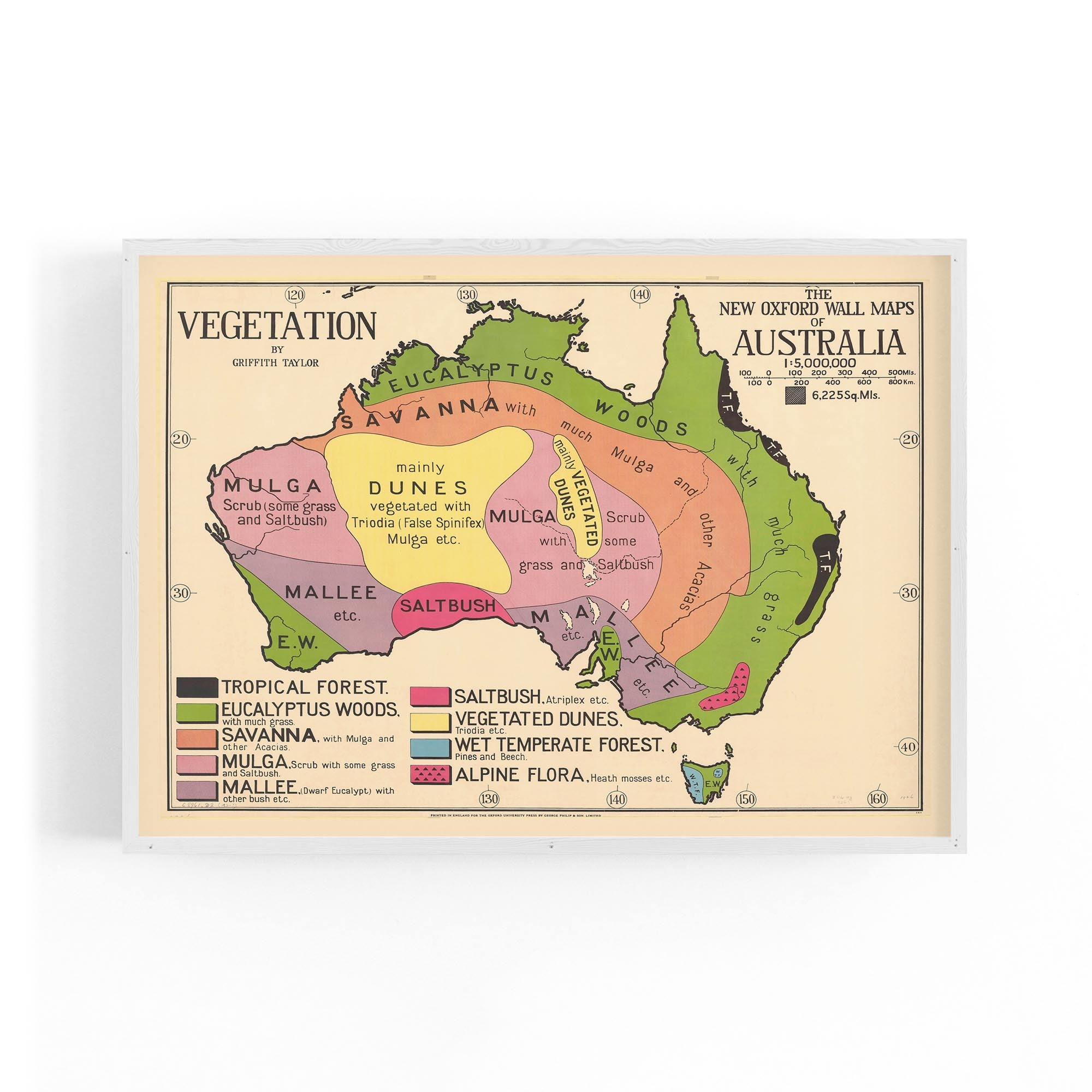 Australian Vegetation Vintage Map Wall Art