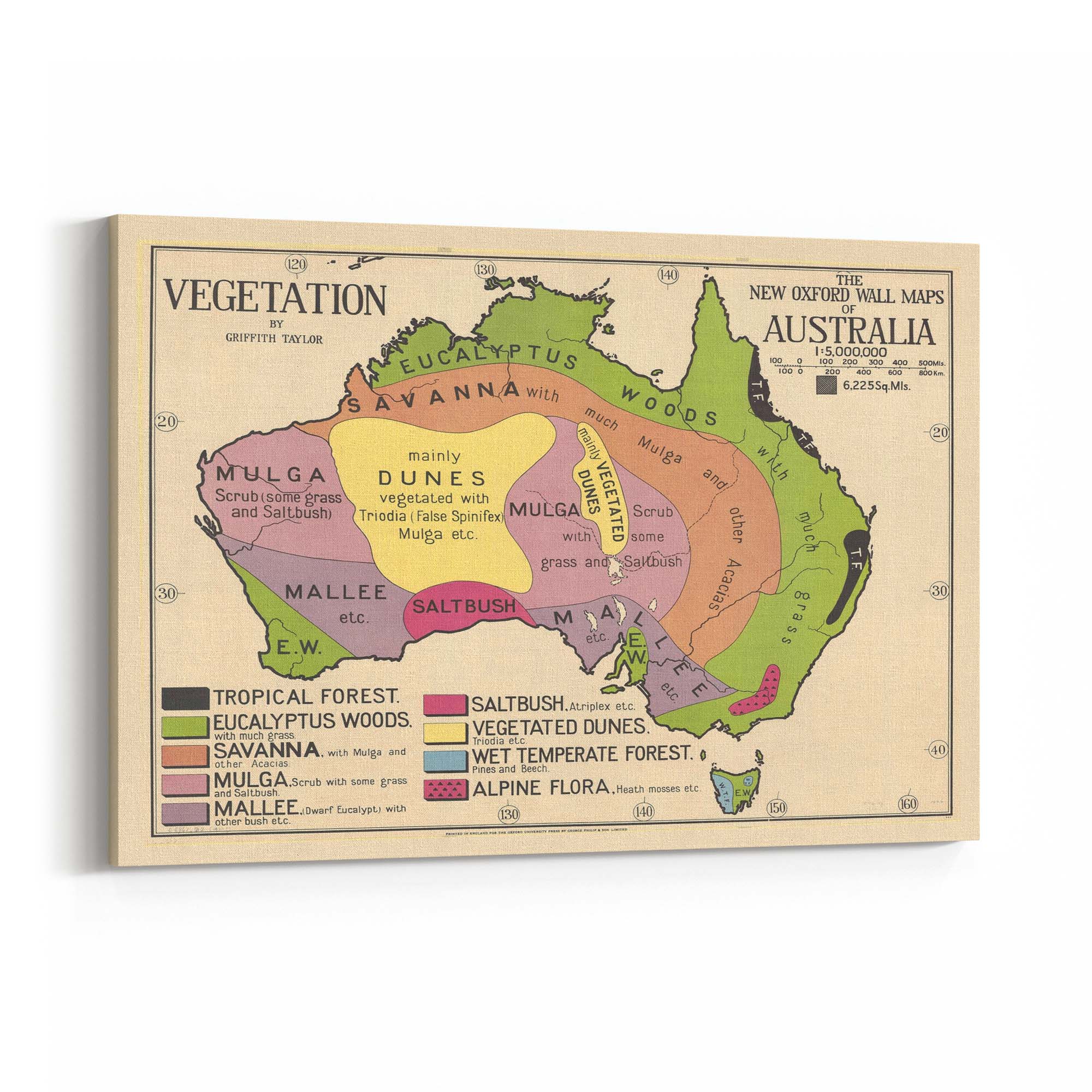 Australian Vegetation Vintage Map Wall Art