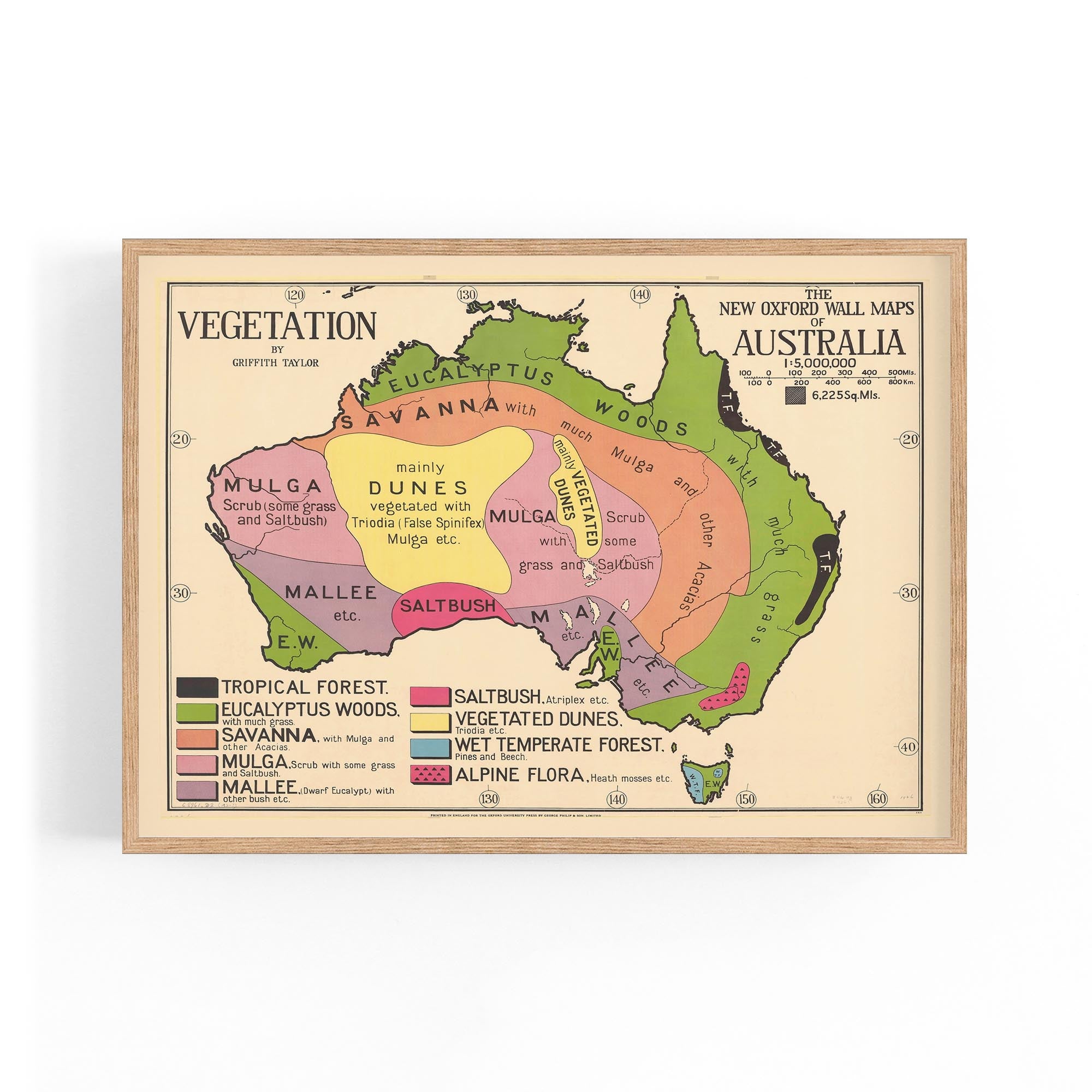 Australian Vegetation Vintage Map Wall Art