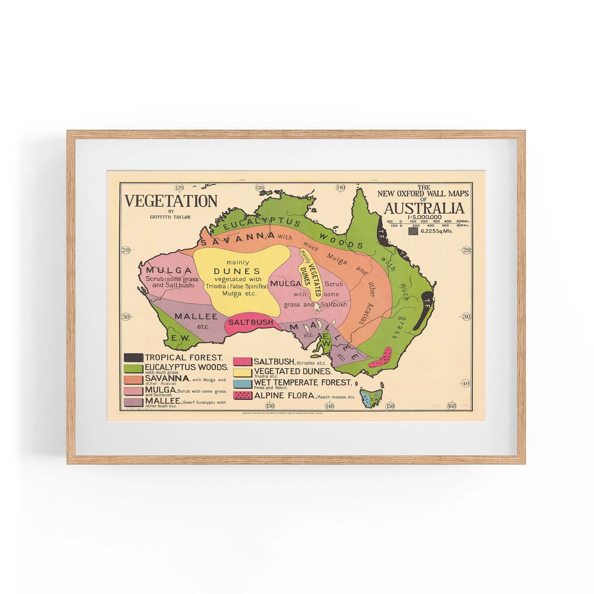 Australian Vegetation Vintage Map Wall Art